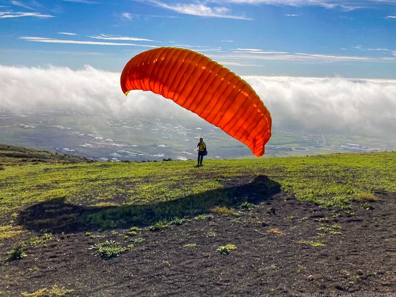 FLA50.22 papillon-paragliding-125