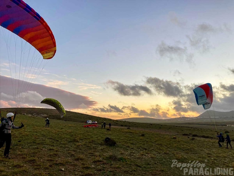 FLA50.22 papillon-paragliding-131