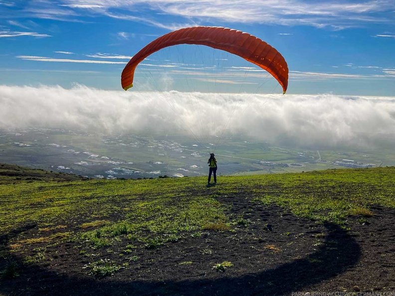 FLA50.22 papillon-paragliding-134