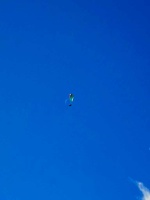 fla8.23-lanzarote-paragliding-portrait-107