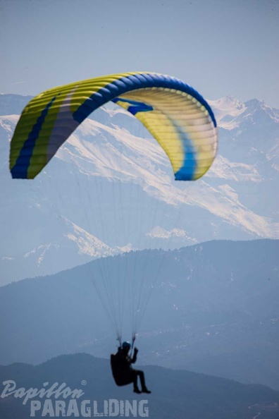 fgp8.23-griechenland-pindos-paragliding-papillon-143.jpg