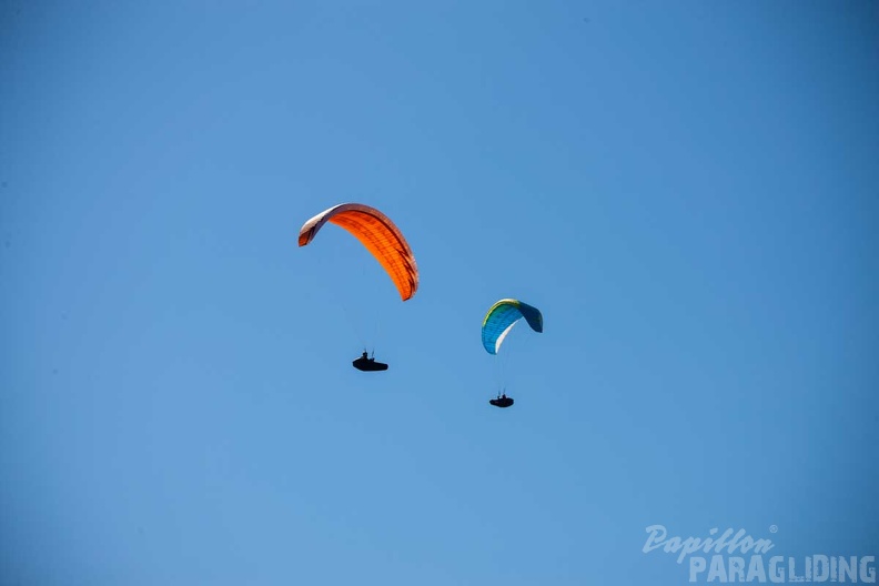 fgp8.23-griechenland-pindos-paragliding-papillon-151