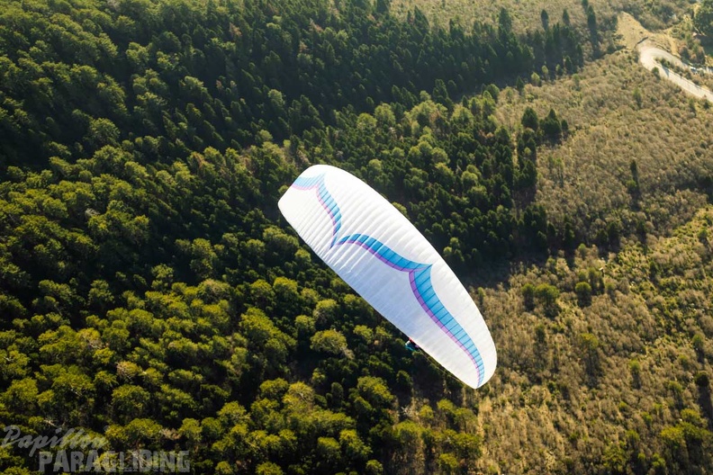 fgp8.23-griechenland-pindos-paragliding-papillon-315.jpg