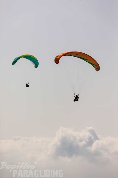 fgp8.23-griechenland-pindos-paragliding-papillon-368