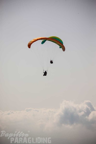 fgp8.23-griechenland-pindos-paragliding-papillon-369.jpg