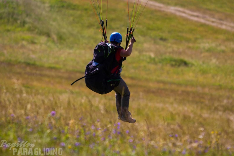 wasserkuppe-paragliding-suedhang-23-06-25.jpg-136