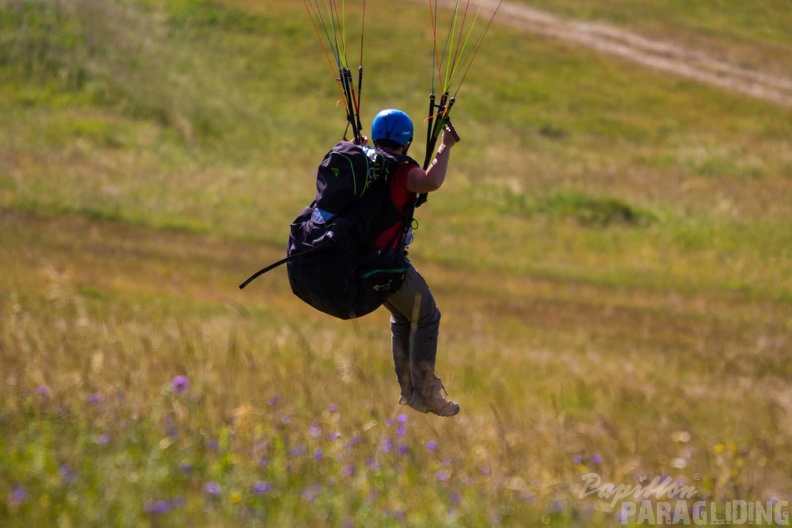 wasserkuppe-paragliding-suedhang-23-06-25.jpg-136