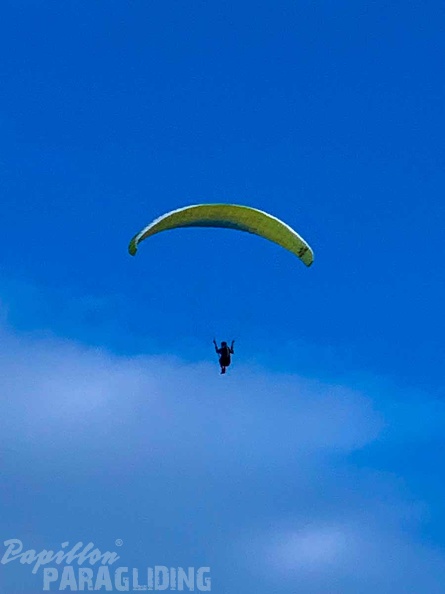 dh27.23-papillon-paragliding-luesen-148.jpg