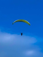 dh27.23-papillon-paragliding-luesen-148