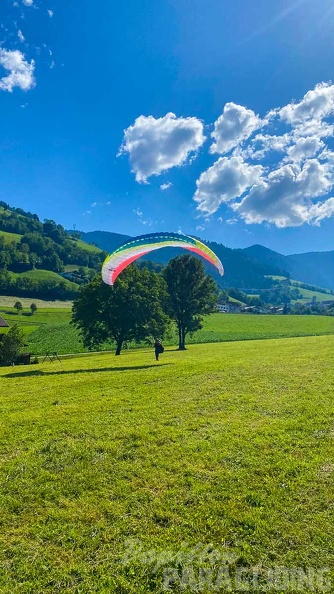 dh28.23-papillon-paragliding-luesen-102.jpg