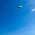 dh28.23-papillon-paragliding-luesen-106