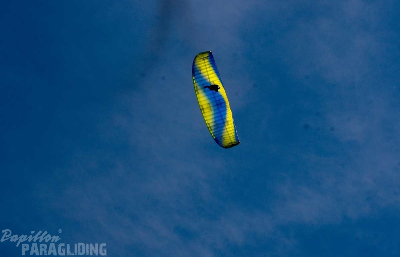 dh32.23-luesen-paragliding-223.jpg