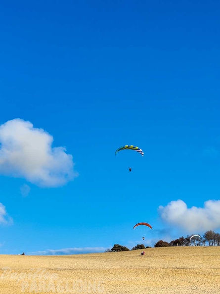 dune-du-pyla-23-paragliding-190.jpg