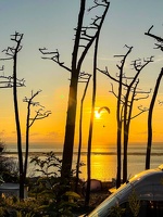 dune-du-pyla-23-116