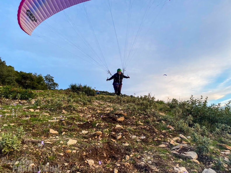 fa44.45.23-algodonales-paragliding-papillon-142.jpg