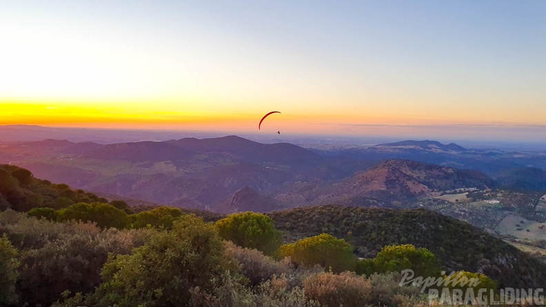 fa44.45.23-algodonales-paragliding-papillon-421.jpg