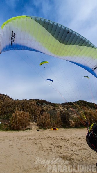 fa44.45.23-algodonales-paragliding-papillon-464