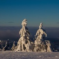 wasserkuppe-winter-23-12-03-219
