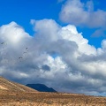 FLA2.24 paragliding-lanzarote-112