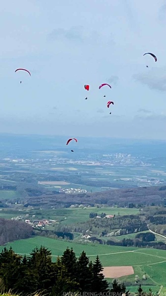 fruehlings-testival-wasserkuppe-24-124.jpg