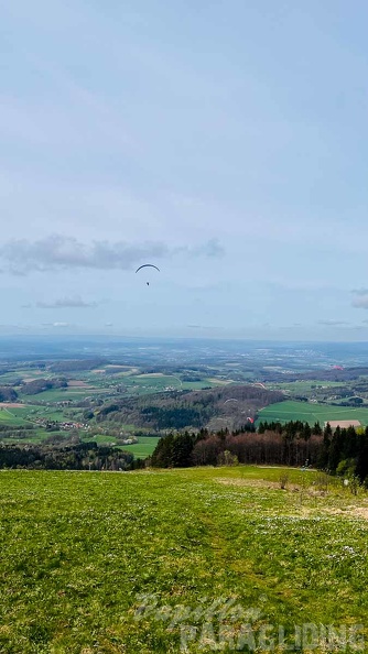 fruehlings-testival-wasserkuppe-24-144.jpg