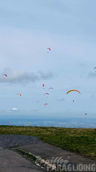 fruehlings-testival-wasserkuppe-24-155.jpg