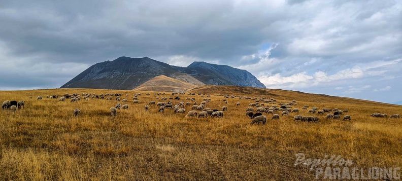 fcf37.23-castelluccio-paragliding-171