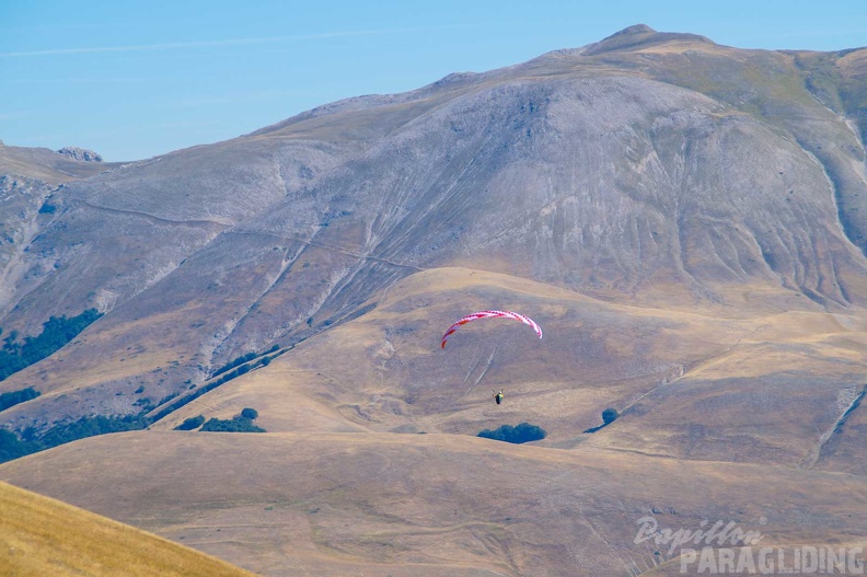 fcf37.23-castelluccio-italien-paragliding-01308