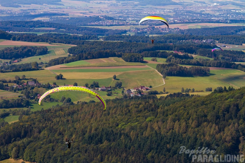 MN 7581 German Open Wasserkuppe 24-09.08 hd