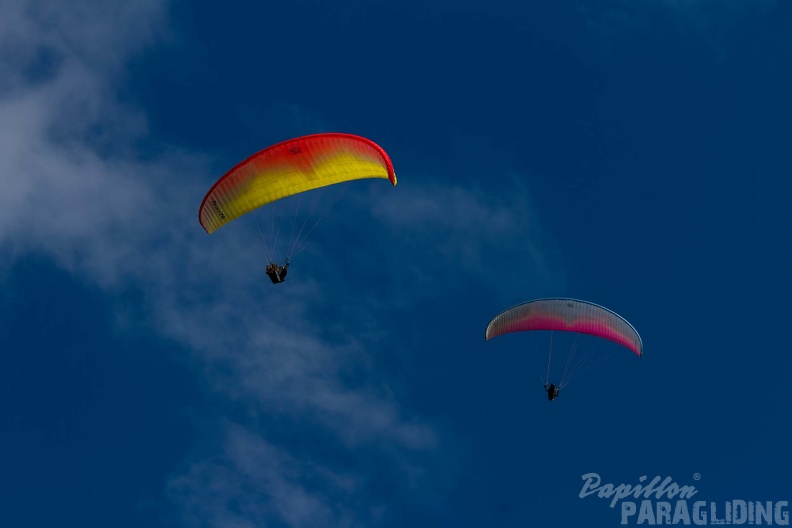 MN 7638 German Open Wasserkuppe 24-09.08 hd