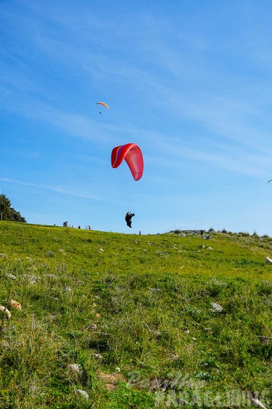 fno42.24-norma-italien-paragliding-163