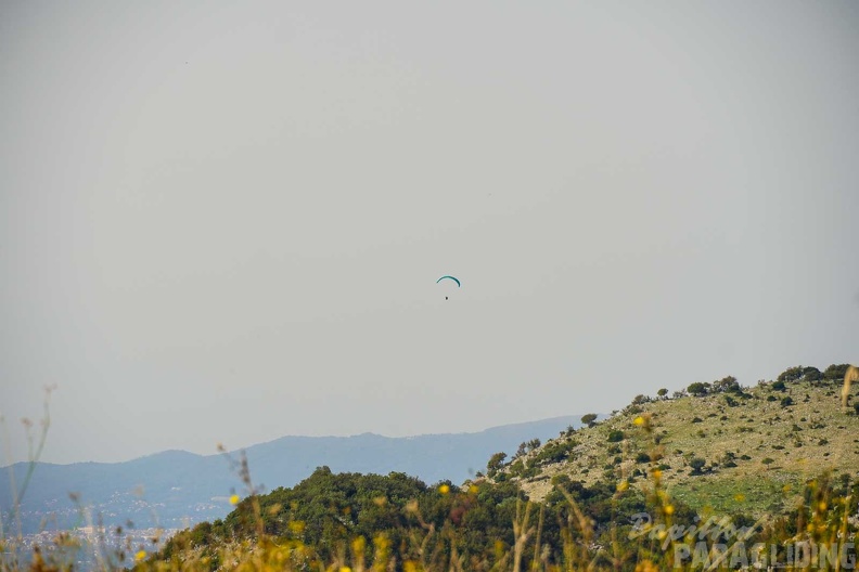 fno42.24-norma-italien-paragliding-321