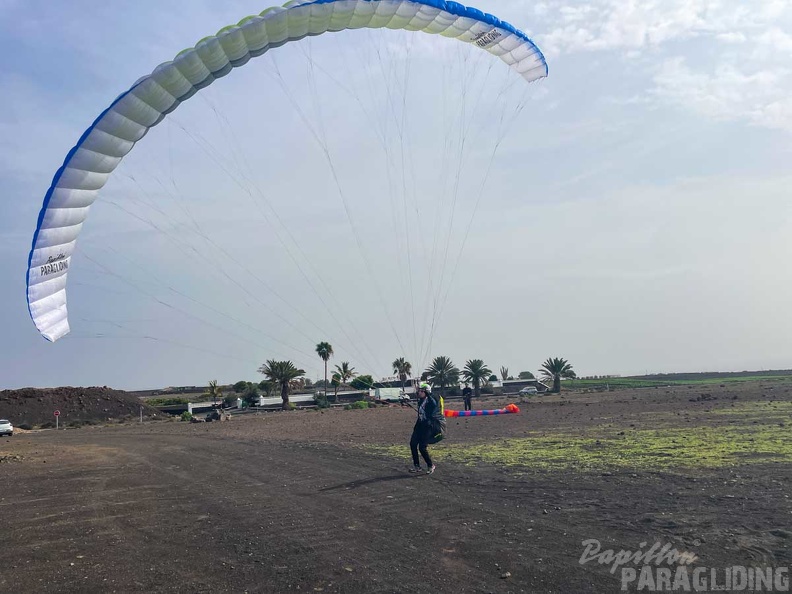 fla51.24-lanzarote-papillon-105