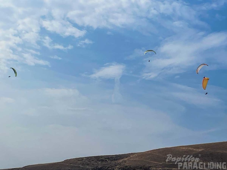 fla51.24-lanzarote-papillon-102
