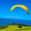 fn7.25-suedafrika-paragliding-papillon-160