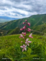 fka23.25-kasachstan-papillon-paragliding-as-479