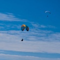 fmf27.25-meduno-papillon-gleitschirmfliegen-119