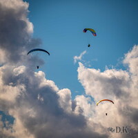 dt37.25-dirk-kunesch-248