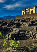 fla46.25-lanzarote-paragliding-papillon-128