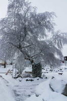 wasserkuppe-winter-25-11-20-mn-106