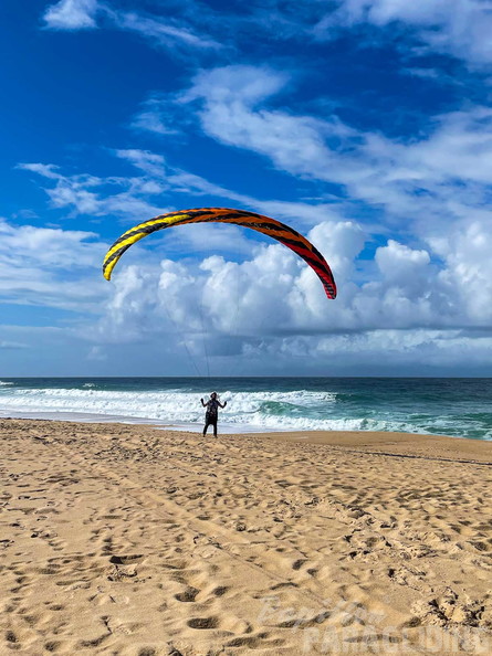 fpg-portugal-2025-paragliding-151