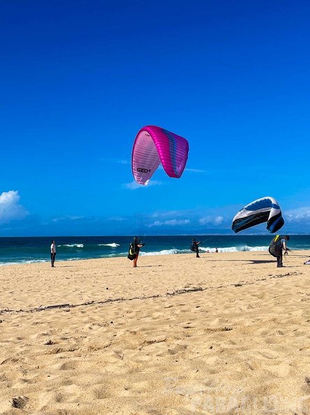 fpg-portugal-2025-paragliding-161