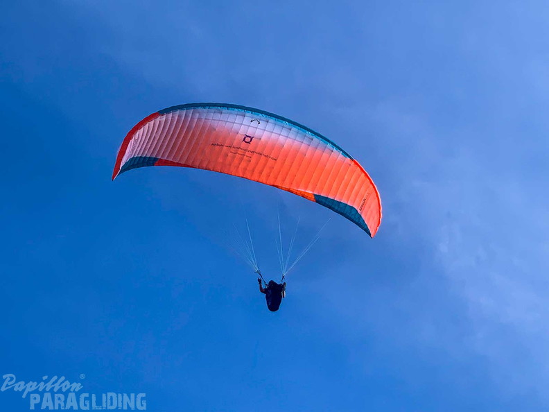fpg-portugal-2025-paragliding-218