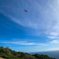 fpg-portugal-2025-paragliding-222