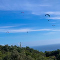fpg-portugal-2025-paragliding-225