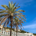 fpg-portugal-2025-paragliding-231