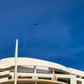 fpg-portugal-2025-paragliding-236