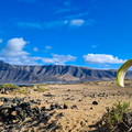 fls52.25-lanzarote-paragliding-132
