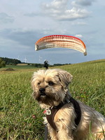 papillon-fotowettbewerb-2025-152