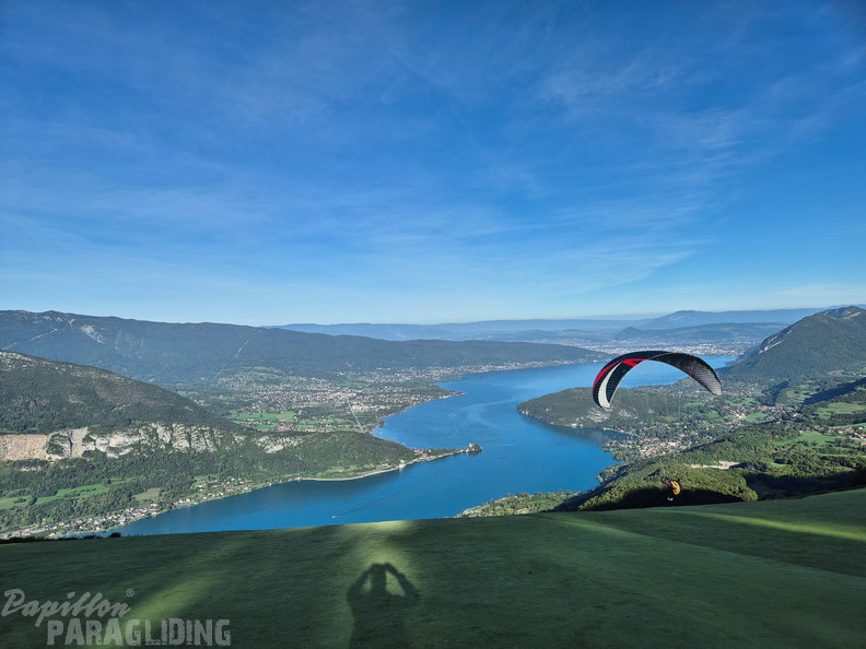 papillon-fotowettbewerb-2025-114